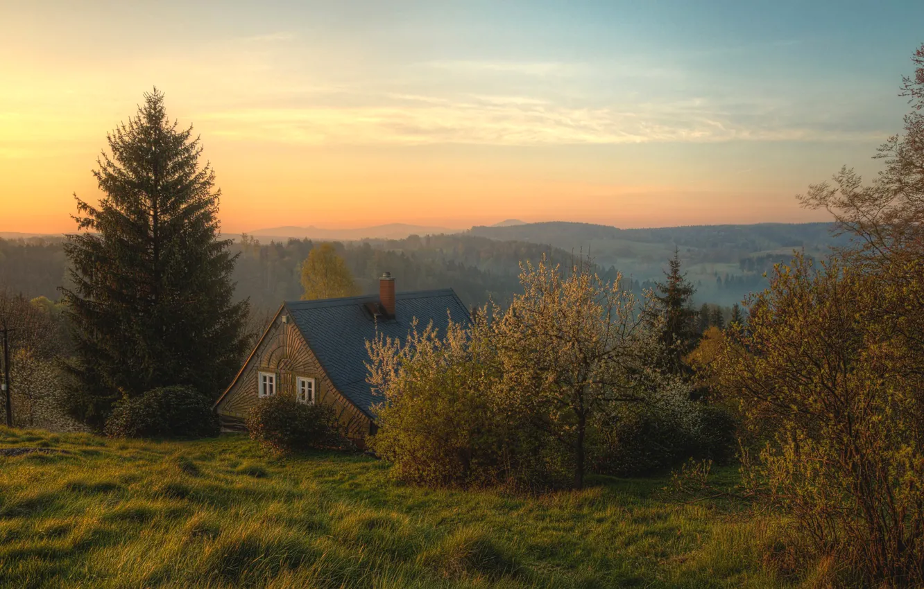 Photo wallpaper forest, grass, trees, mountains, dawn, home, Switzerland, Bohemian