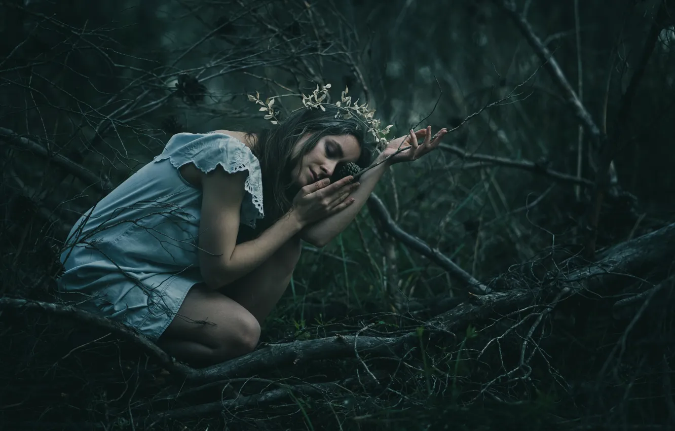 Photo wallpaper forest, girl, branches, pose, mood, the situation, hands, dress
