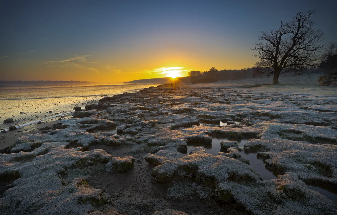 Photo wallpaper winter, nature, river, morning