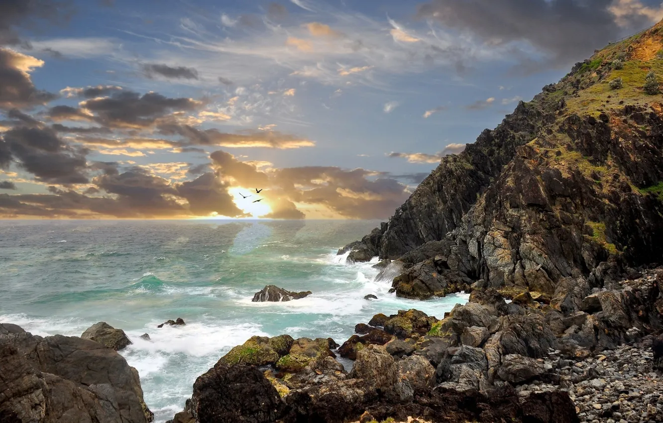 Photo wallpaper sea, the sky, clouds, sunset, birds, stones, shore, Australia