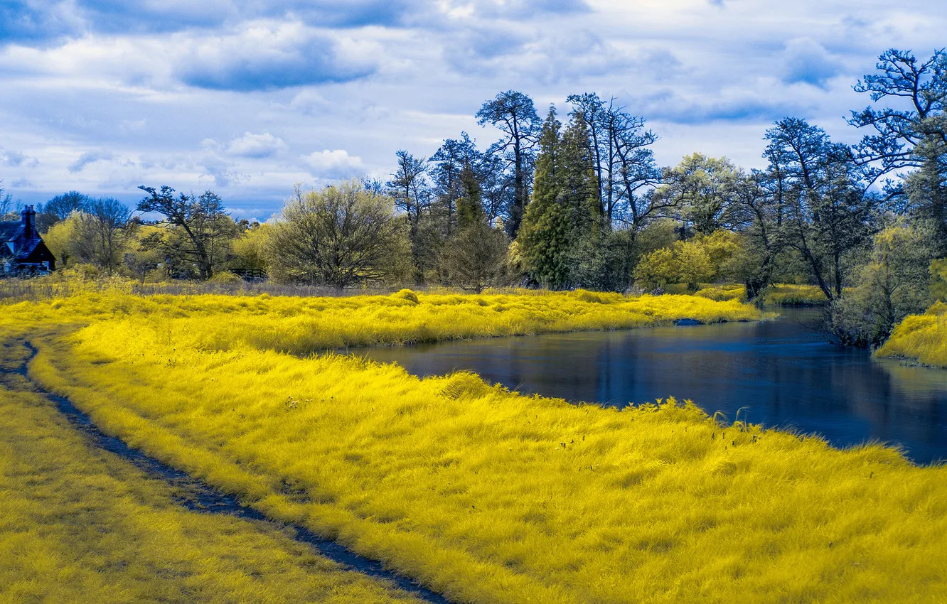 Photo wallpaper the sky, grass, clouds, trees, house, river