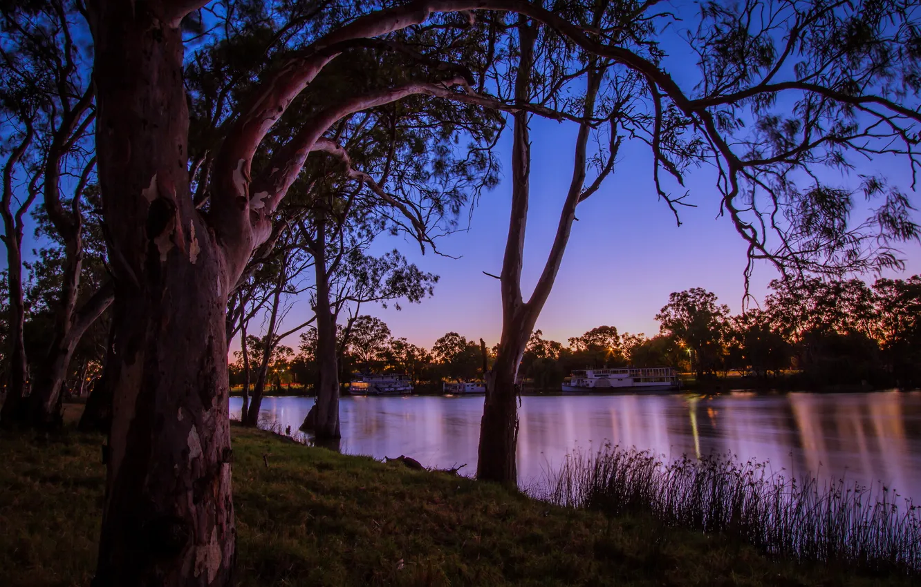 Photo wallpaper trees, nature, river, photo, Australia, boat, Mildura Victoria