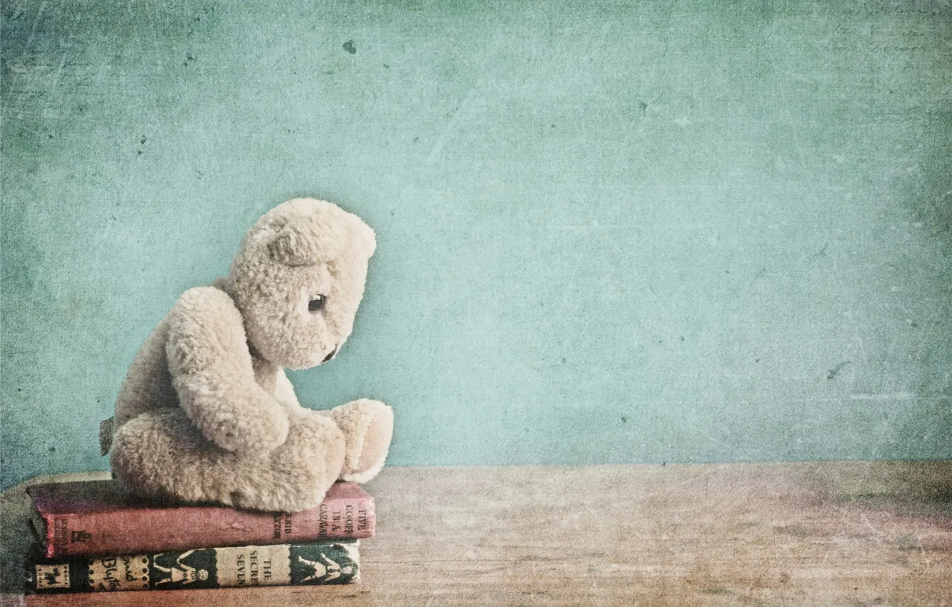 Photo wallpaper wall, bear, book
