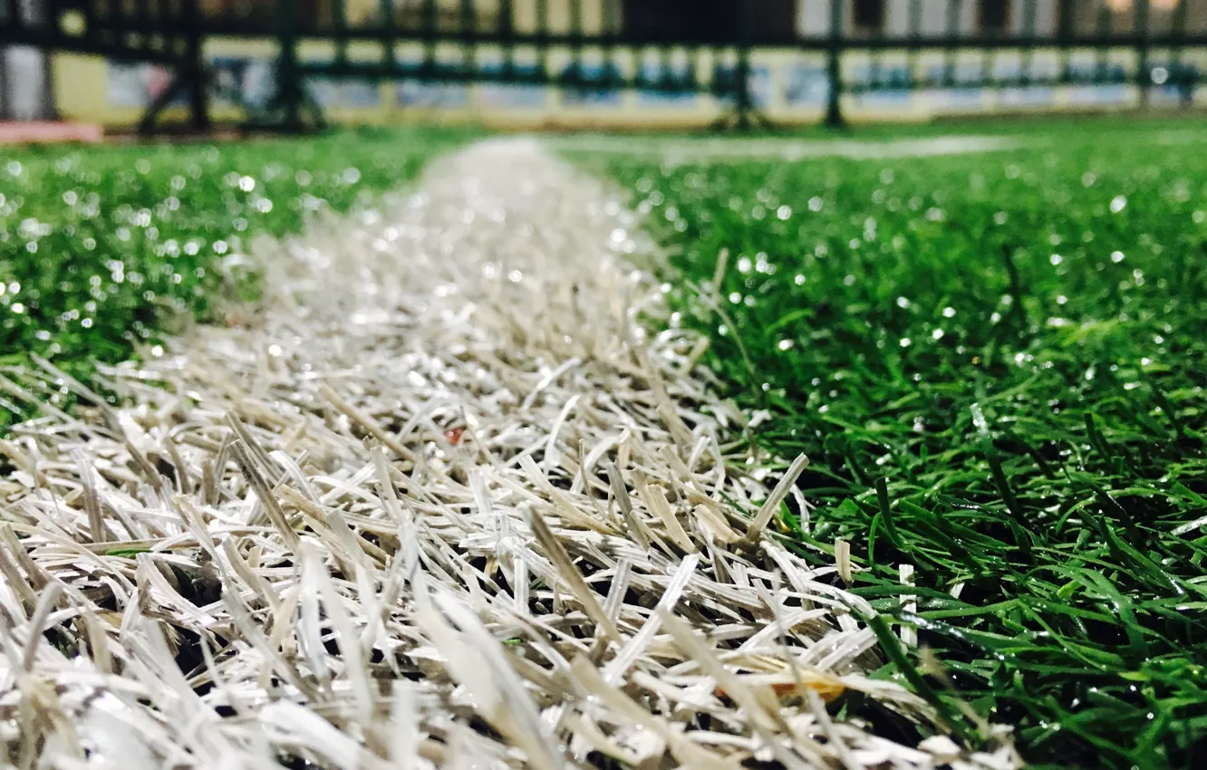 Photo wallpaper Grass, Sport, Football, Lawn