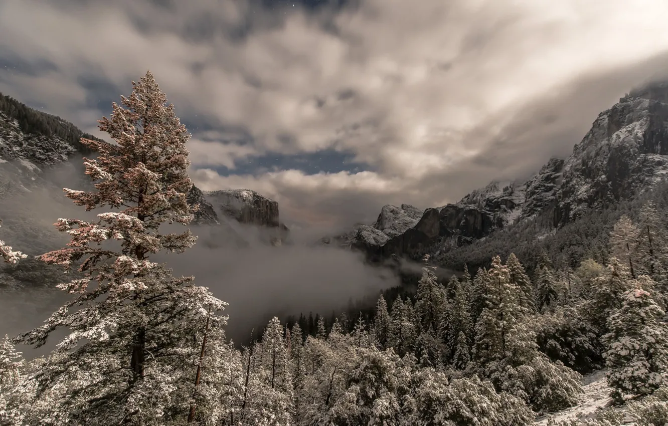 Photo wallpaper the sky, trees, mountains