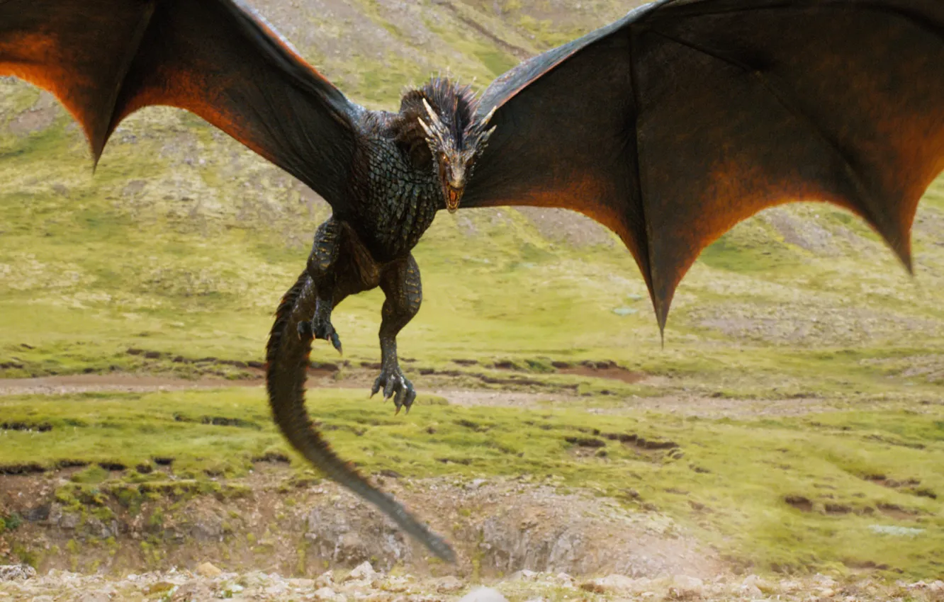 Photo wallpaper dragon, beautiful, Game of thrones