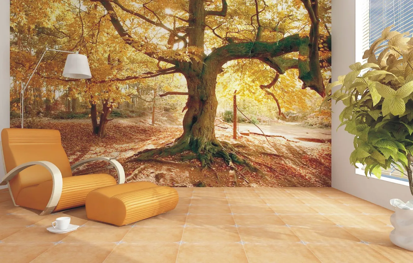 Photo wallpaper design, style, room, interior, Wallpapers