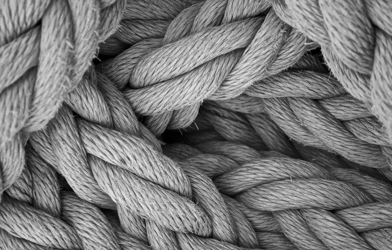Photo wallpaper black and white, ropes, netting