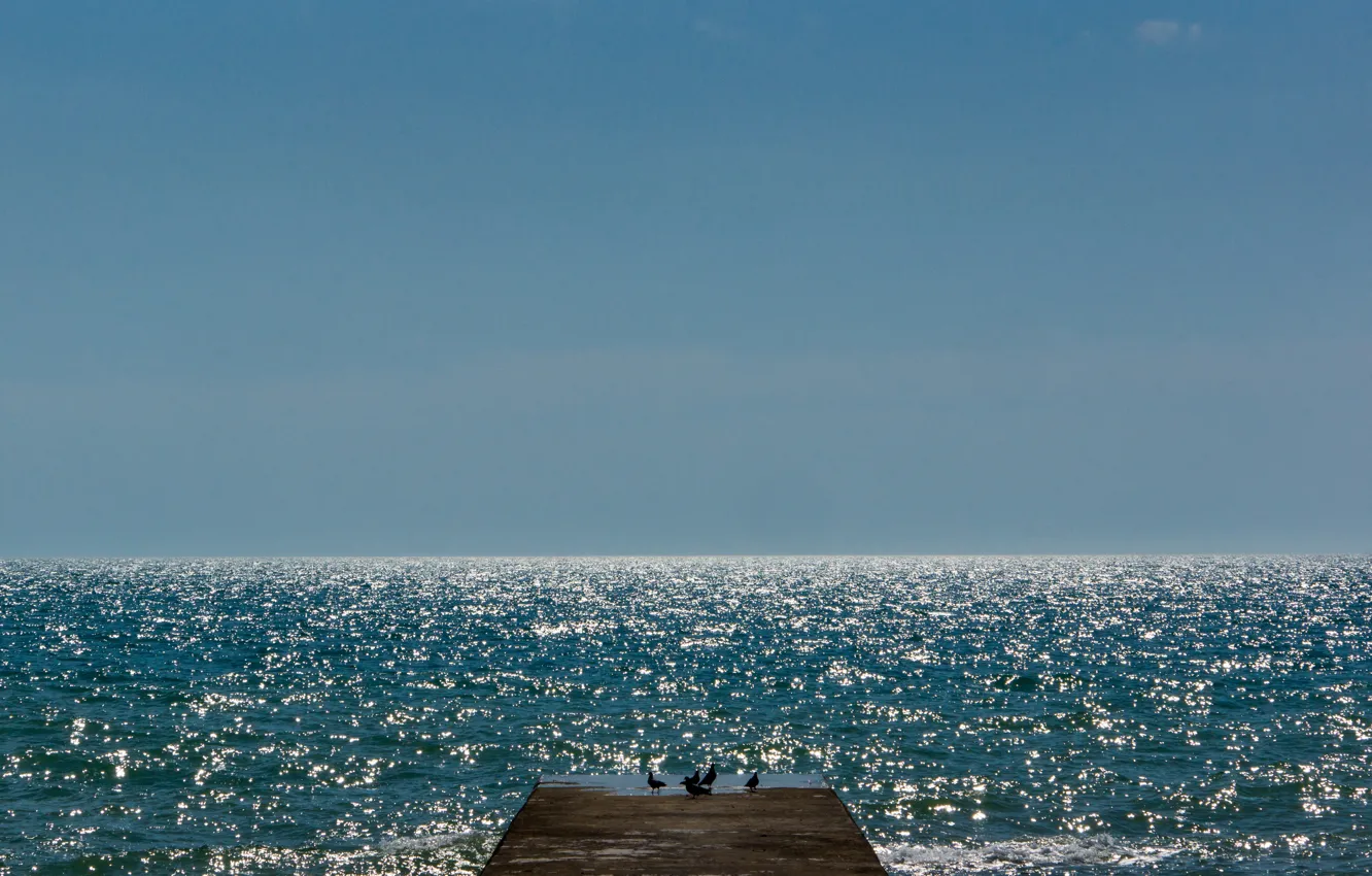 Photo wallpaper sea, summer, the sun, bird, black, pierce
