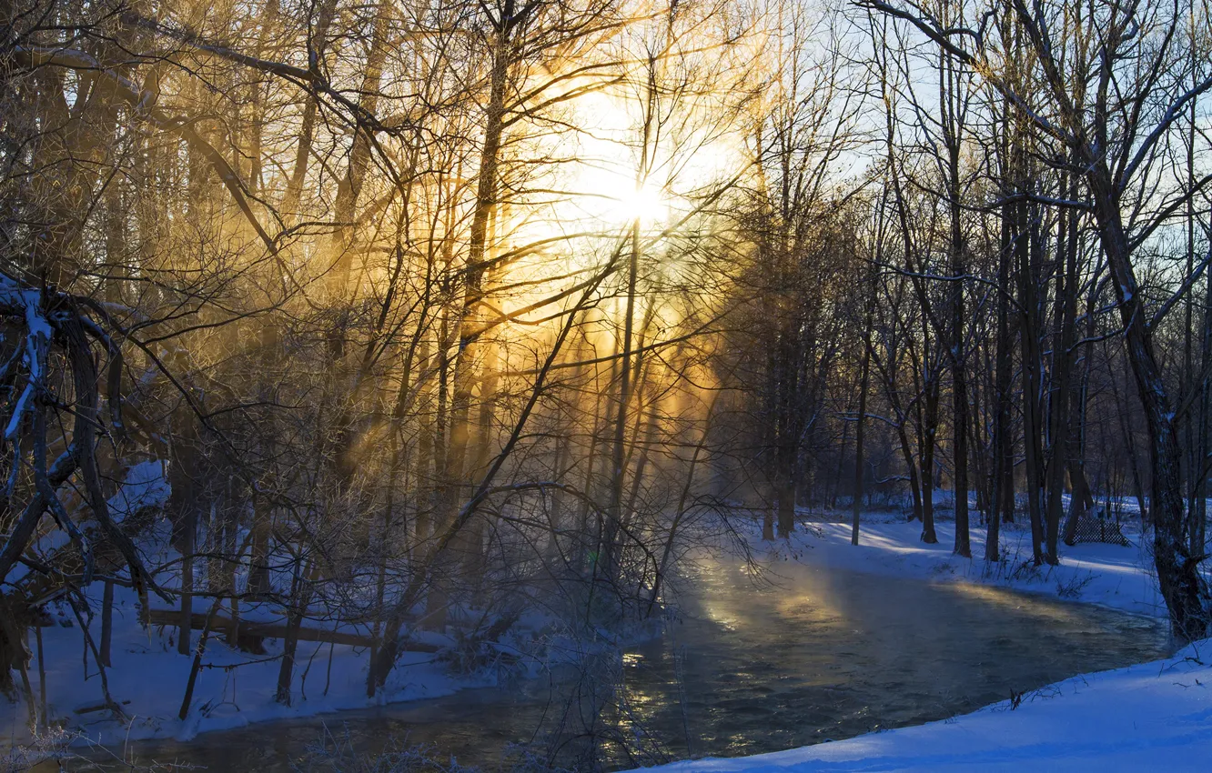 Photo wallpaper winter, forest, the sun, trees, river, morning, frost