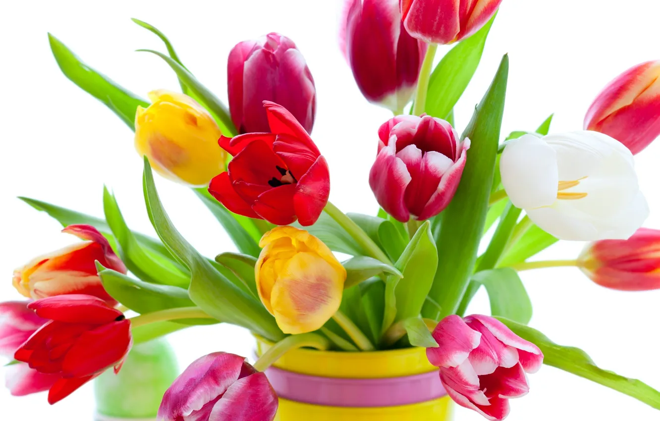Photo wallpaper flowers, bright, beauty, bouquet, petals, tulips, red, vase