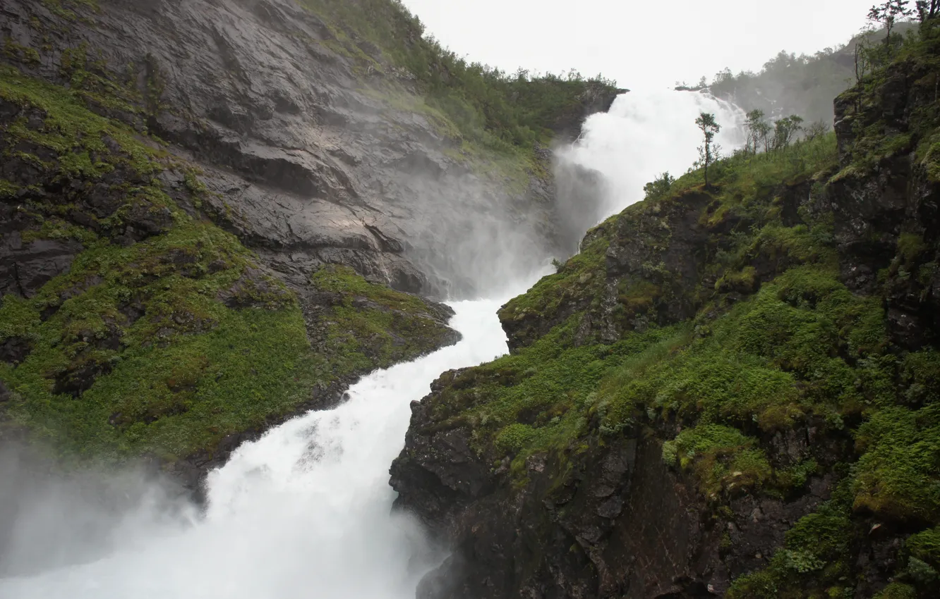 Photo wallpaper water, nature, waterfall, nature, water, waterfall