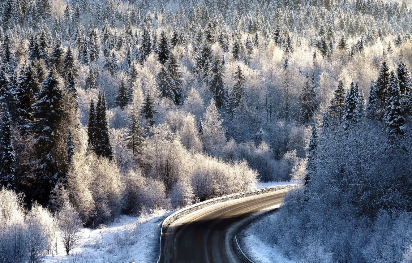 Photo wallpaper winter, frost, road, forest