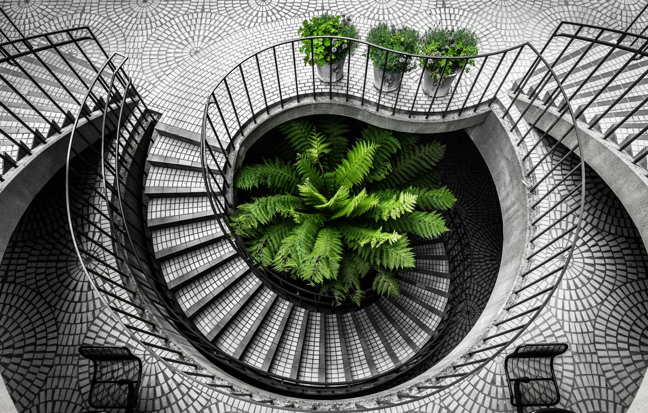 Photo wallpaper city, california, san francisco, black and white, staircase, architecture, travel, stair