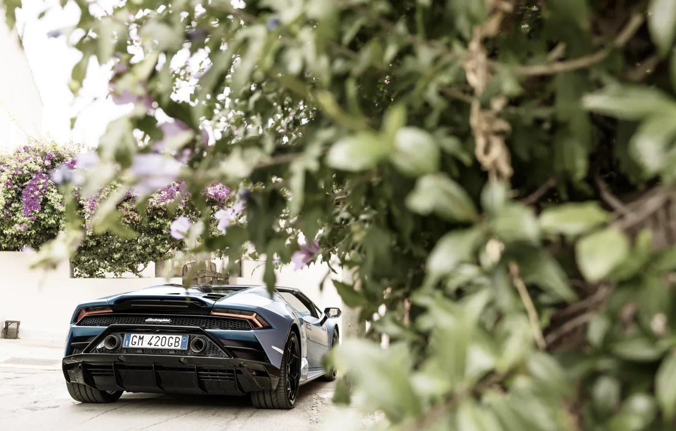 Photo wallpaper Lamborghini, Huracan, rear view, Lamborghini Huracan EVO Spyder