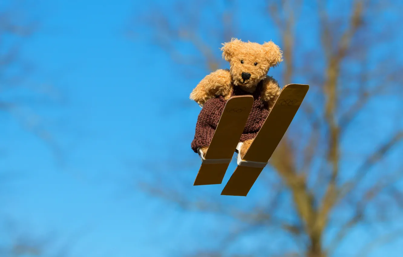 Photo wallpaper flight, branches, background, mood, sport, toy, ski, positive
