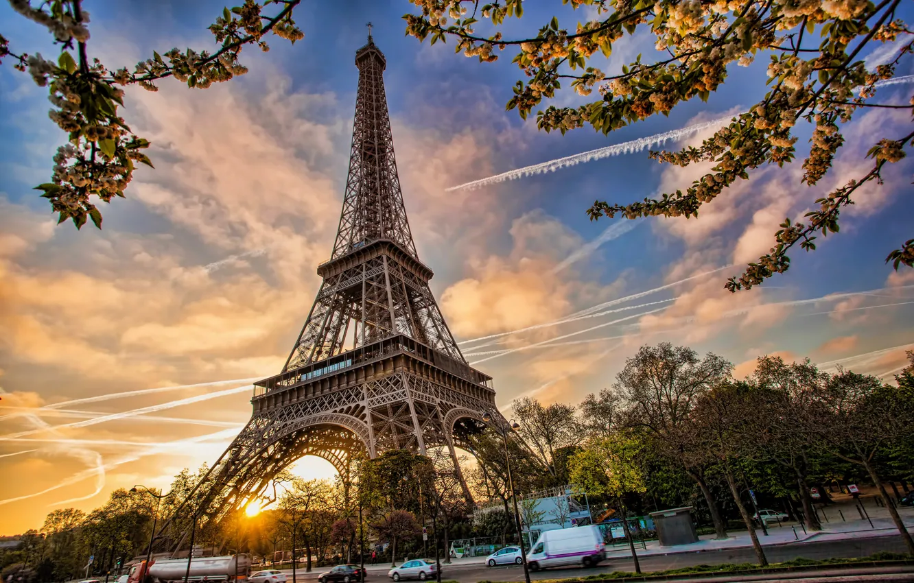 Photo wallpaper France, Paris, spring, Paris, blossom, France, spring, Eiffel Tower