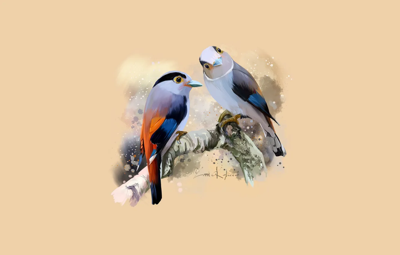 Photo wallpaper branch, pair, birds