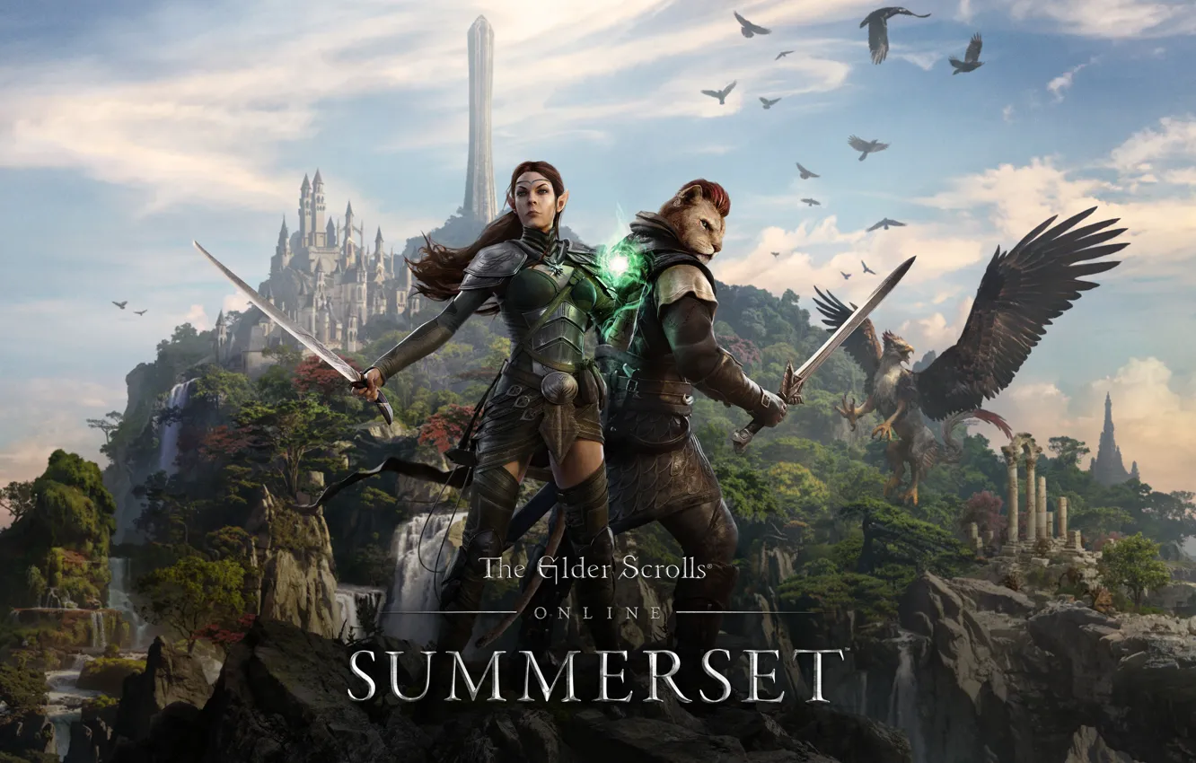 Photo wallpaper elf, Griffin, the Khajiit, The Elder Scroll Online, tes online, Summerset