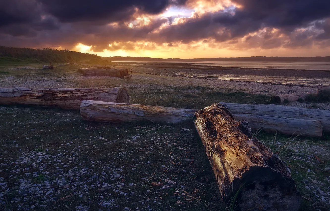 Photo wallpaper sunset, shore, log