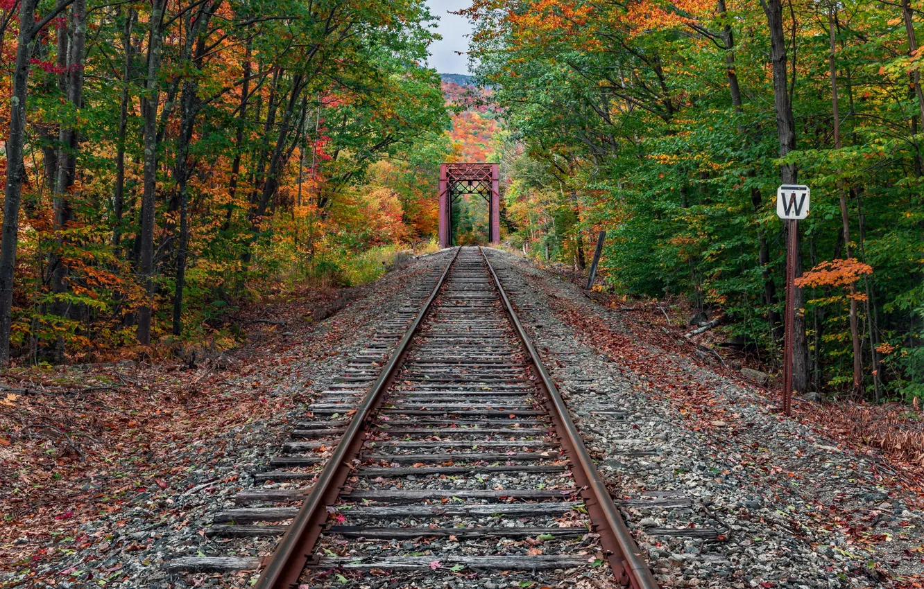 Photo wallpaper autumn, forest, railroad
