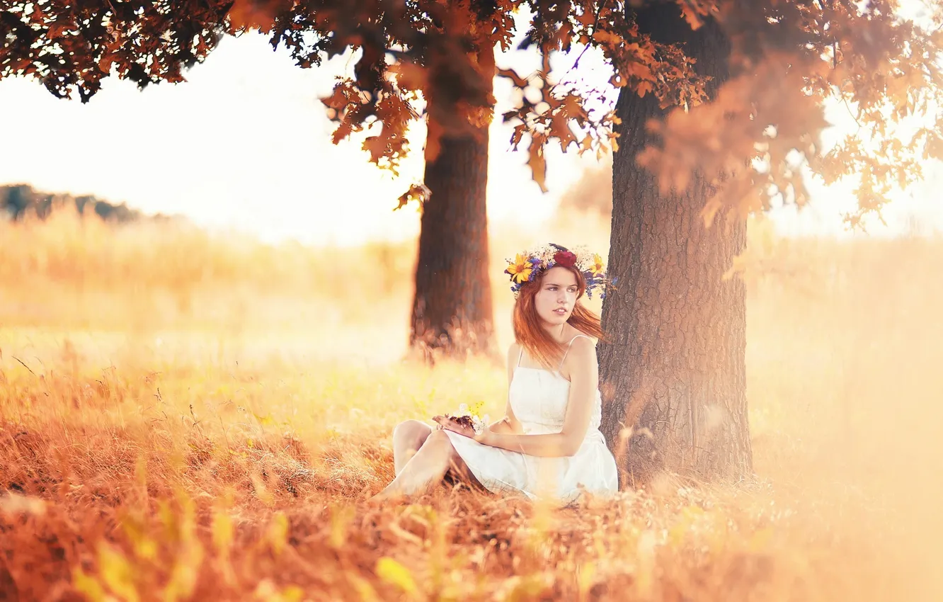 Photo wallpaper grass, girl, trees, photo, red, sitting, rays of light