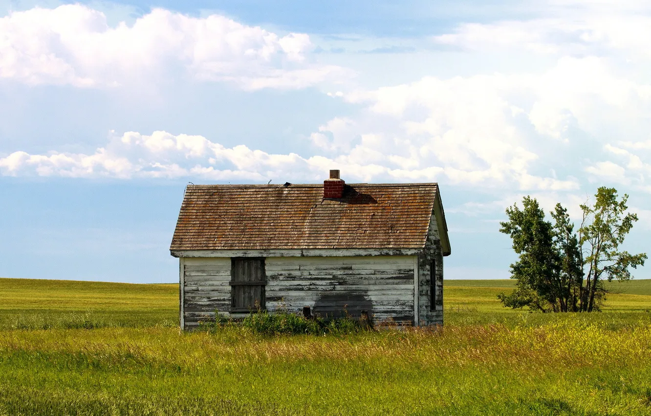 Photo wallpaper field, summer, landscape, home