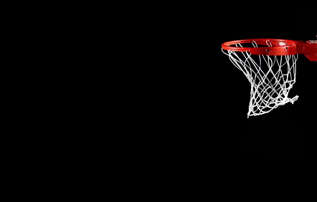 Photo wallpaper mesh, black, ring, Basketball