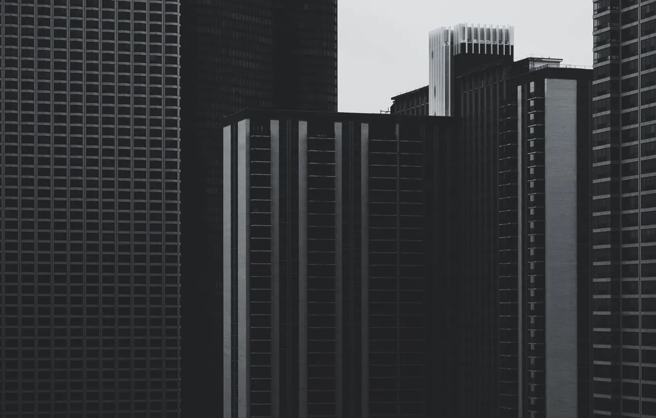 Photo wallpaper windows, USA, United States, Chicago, Illinois, skyline, lines, black and white