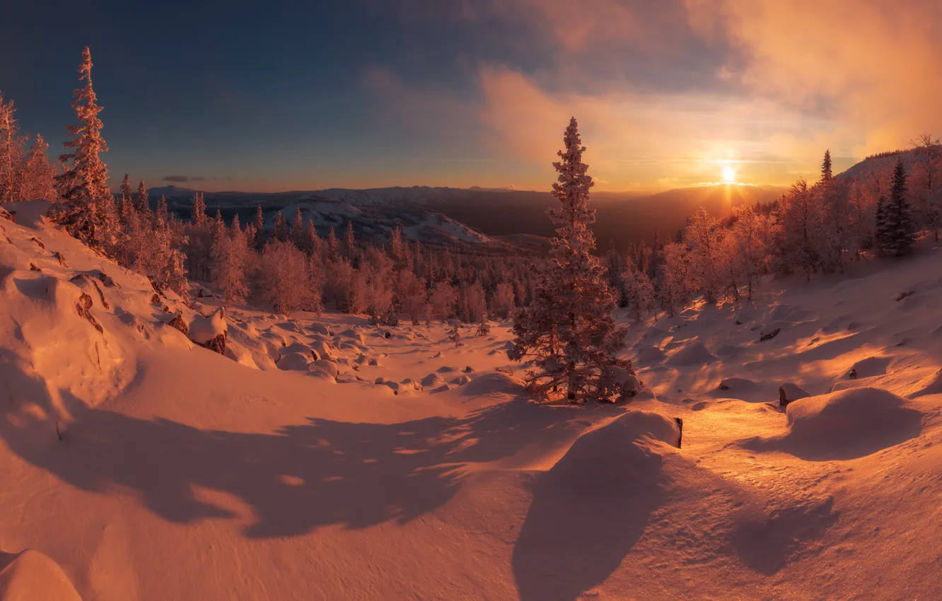 Photo wallpaper winter, forest, the sky, the sun, snow, hills