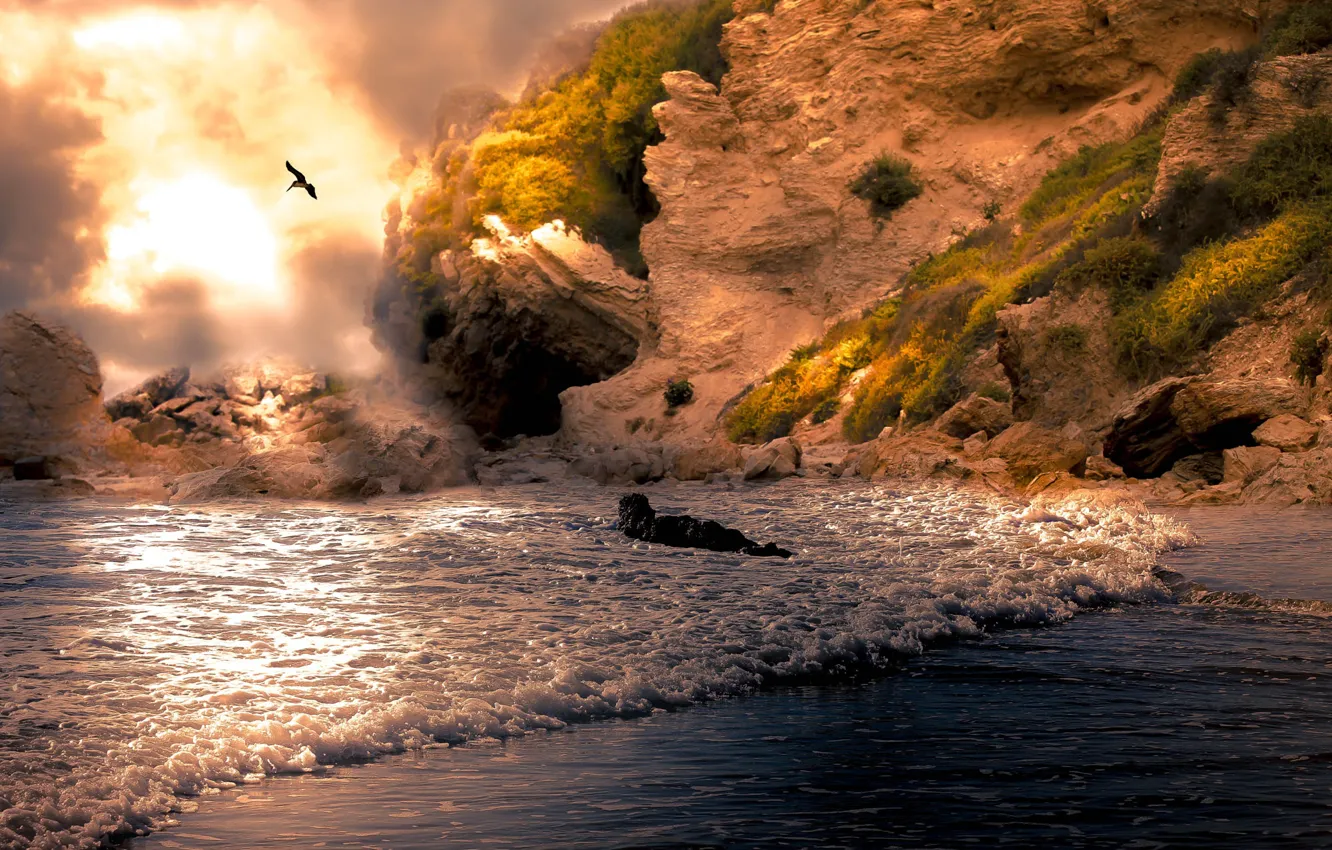 Photo wallpaper wave, rocks, bird, shore, surf, Pelican