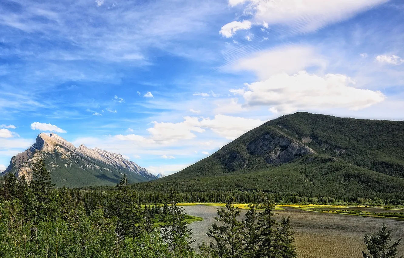 Photo wallpaper forest, the sky, clouds, mountains, river