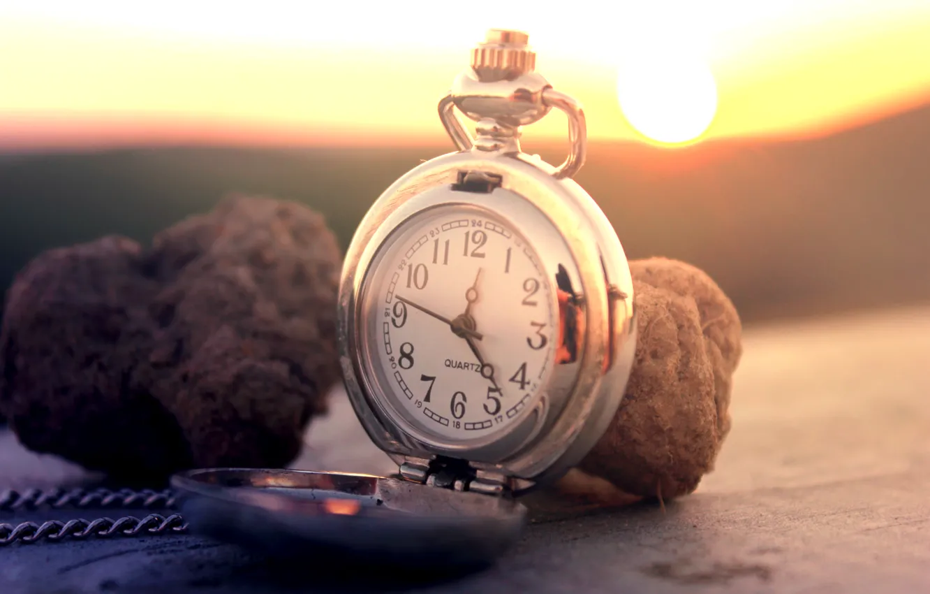 Photo wallpaper the sun, surface, mushrooms, watch, dial, chain, pocket, truffles