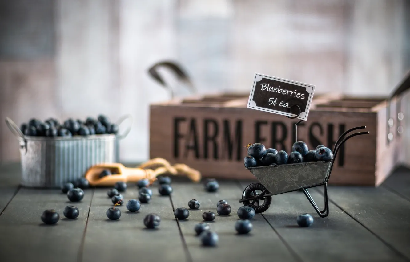 Photo wallpaper berries, background, blueberries
