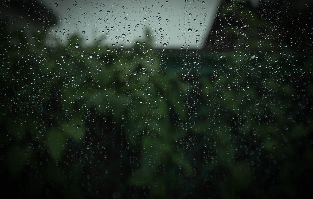 Photo wallpaper glass, drops, macro, rain