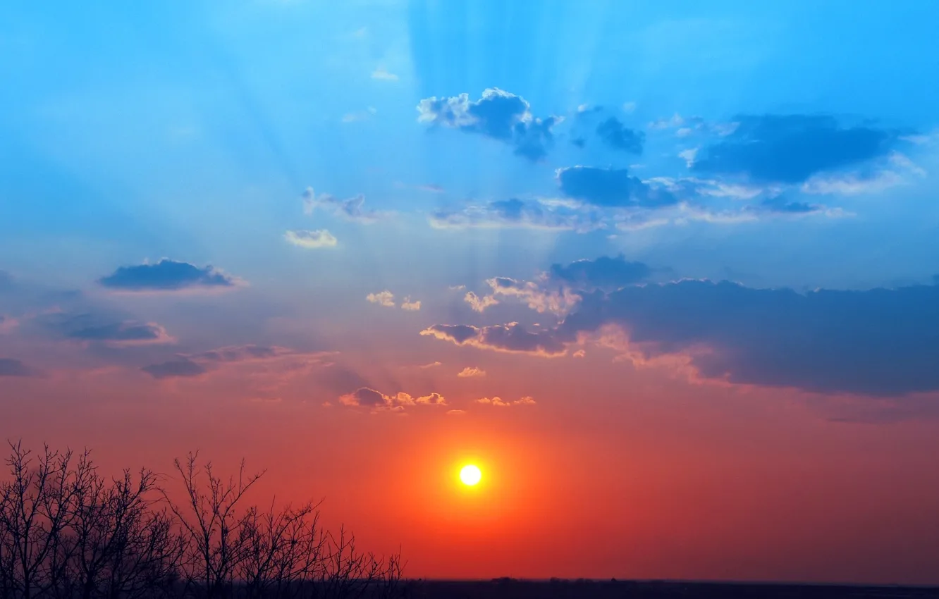 Photo wallpaper the sky, the sun, clouds, rays, sunset, horizon