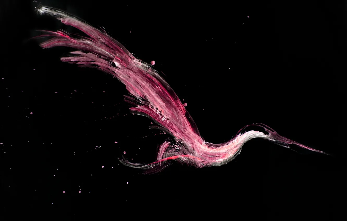 Photo wallpaper white, drops, bird, paint, black, wings, painting, strokes
