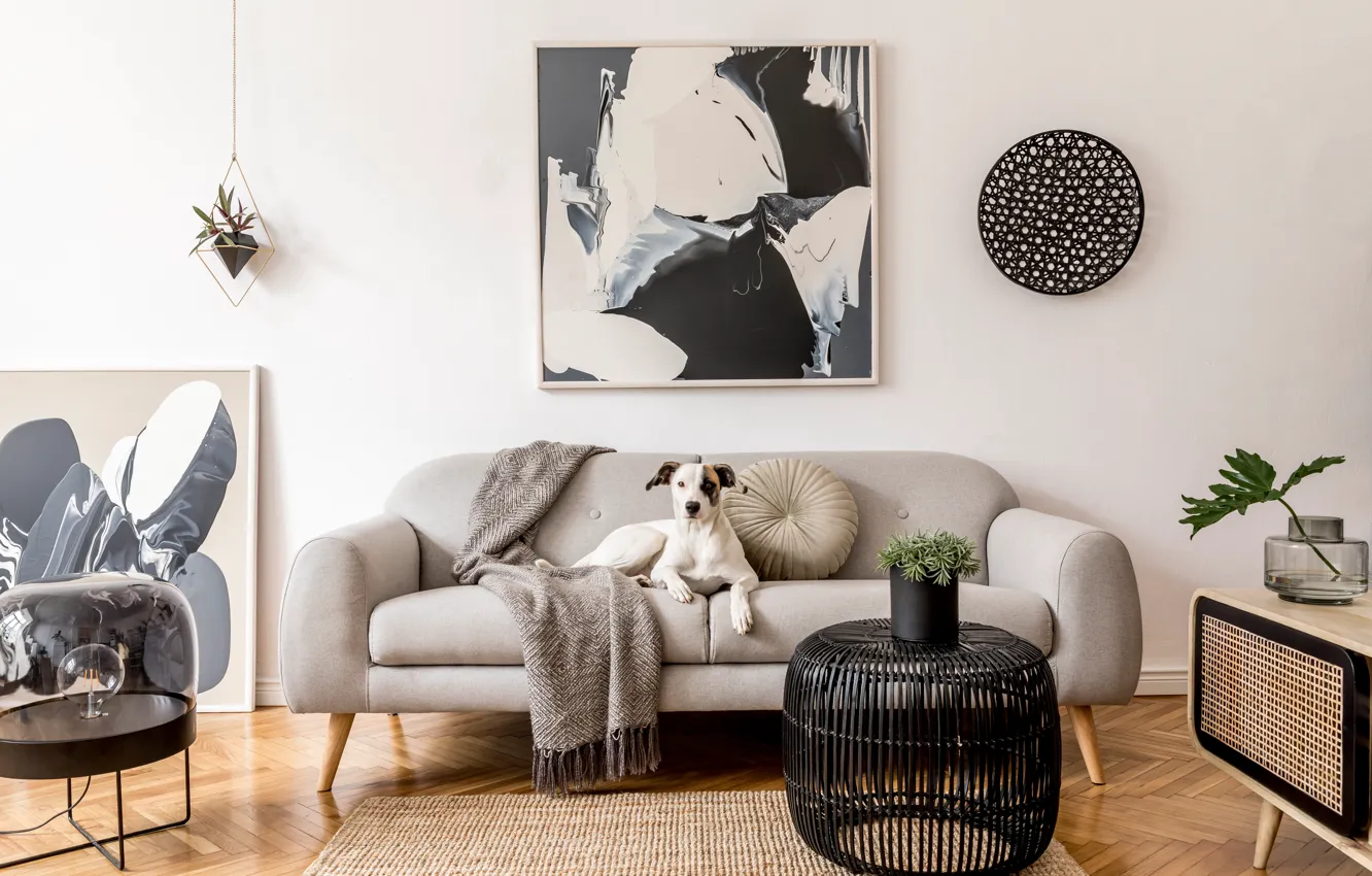 Photo wallpaper table, sofa, carpet, furniture, interior, dog, poster, apartment