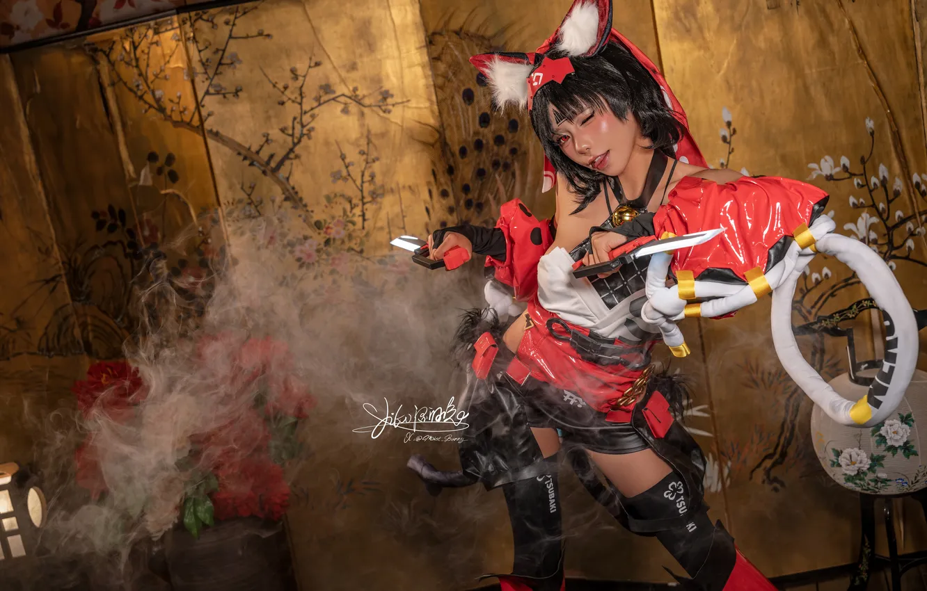 Photo wallpaper model, women, cosplay, asian, Nian Tuanzitu, Nekomiya Man