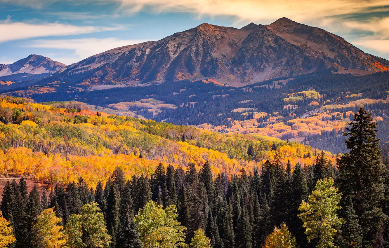 Photo wallpaper autumn, forest, clouds, landscape, mountains, tops, view, ate