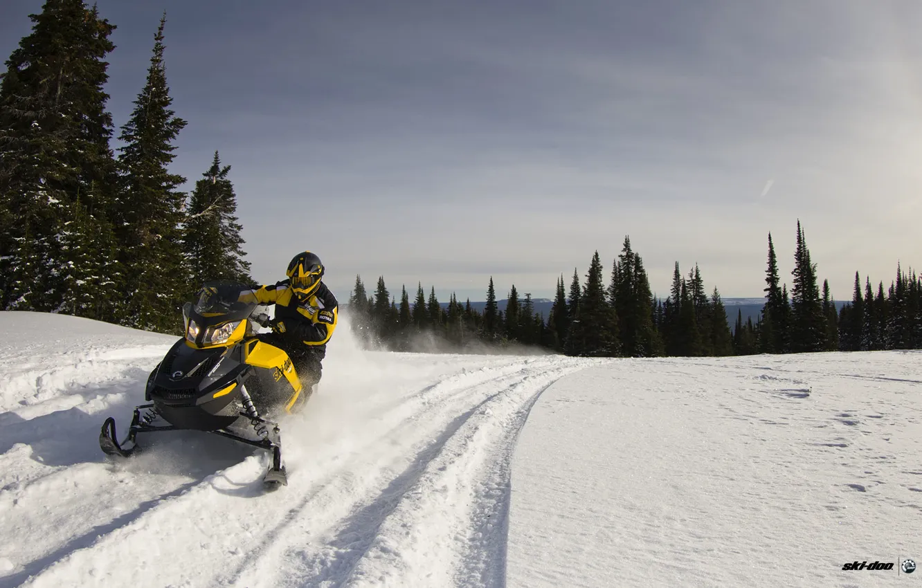 Photo wallpaper forest, the sky, snow, trees, yellow, track, snowmobile, snowmobile