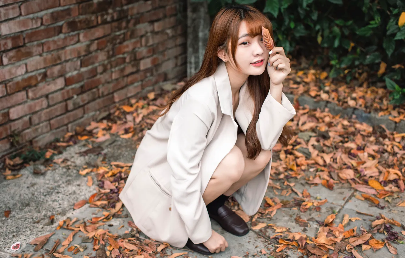 Photo wallpaper look, leaves, Asian