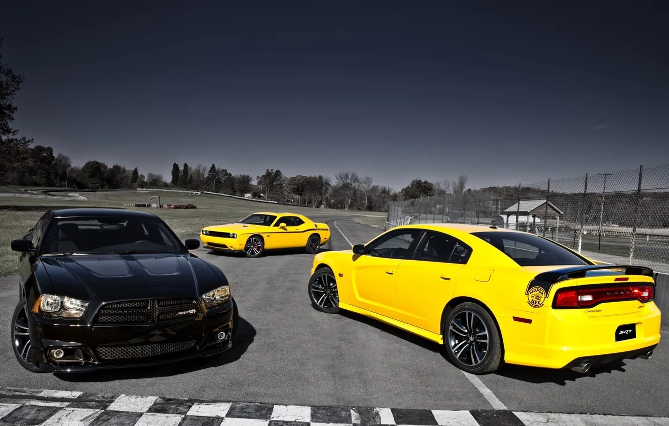 Photo wallpaper yellow, black, Dodge, SRT8, Challenger, muscle car, Dodge, Charger