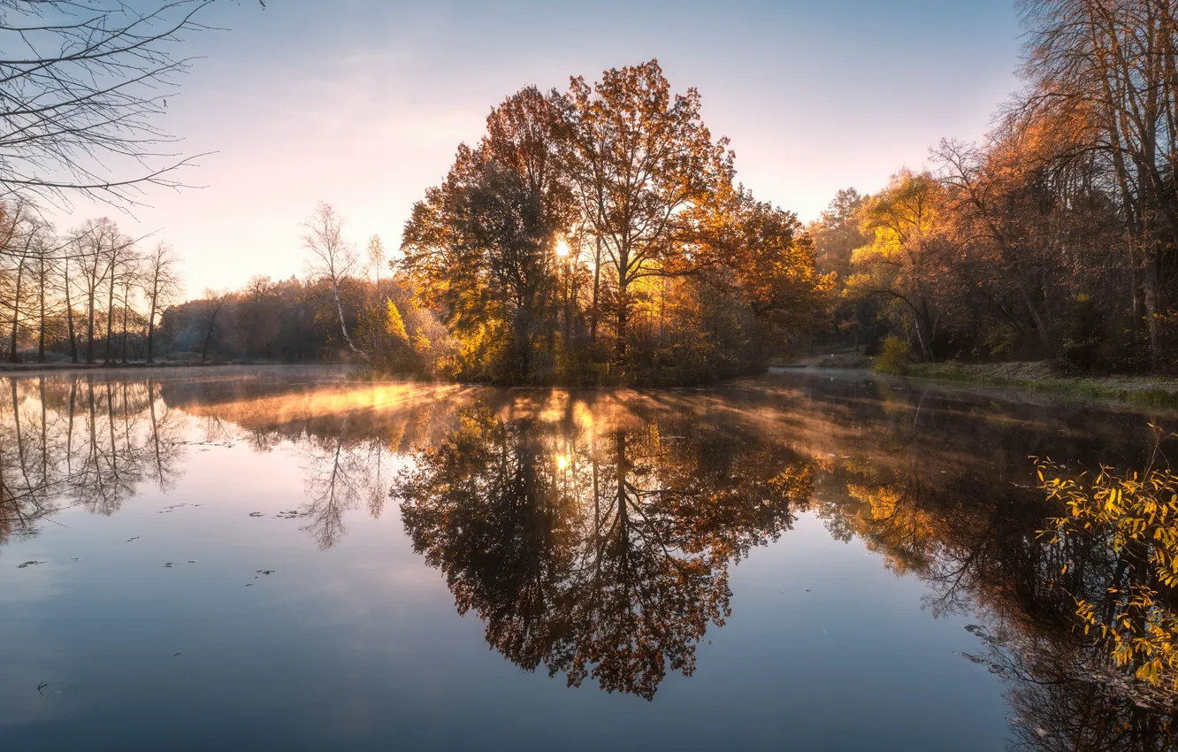 Photo wallpaper forest, trees, reflection, dawn, shore, pond, photographer Andrey Baskevich