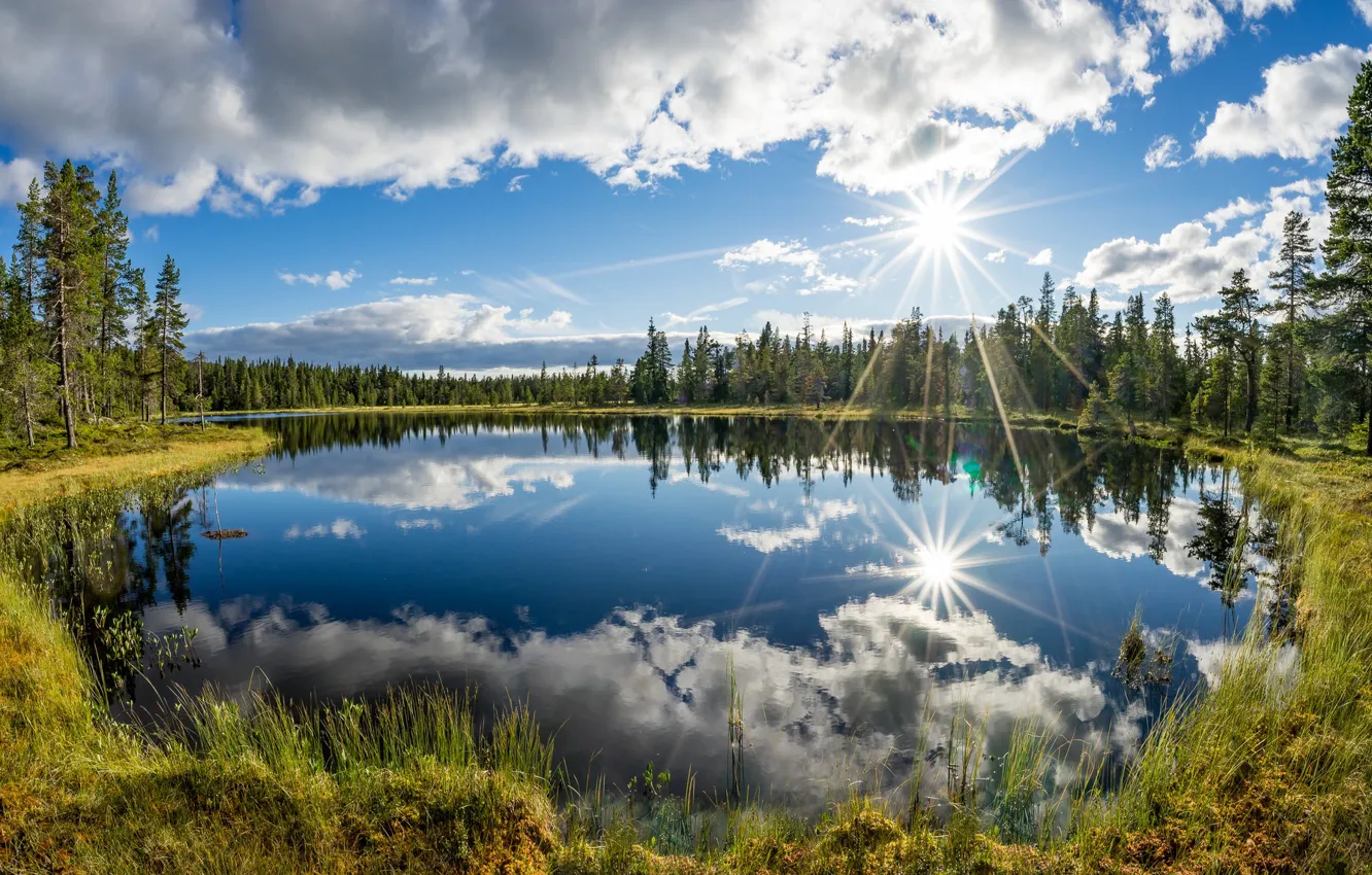 Photo wallpaper trees, lake, reflection, Norway, Sunny day, Norway, Kjos, Telemark County