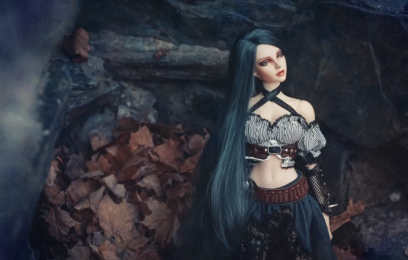 Photo wallpaper hair, doll, beauty