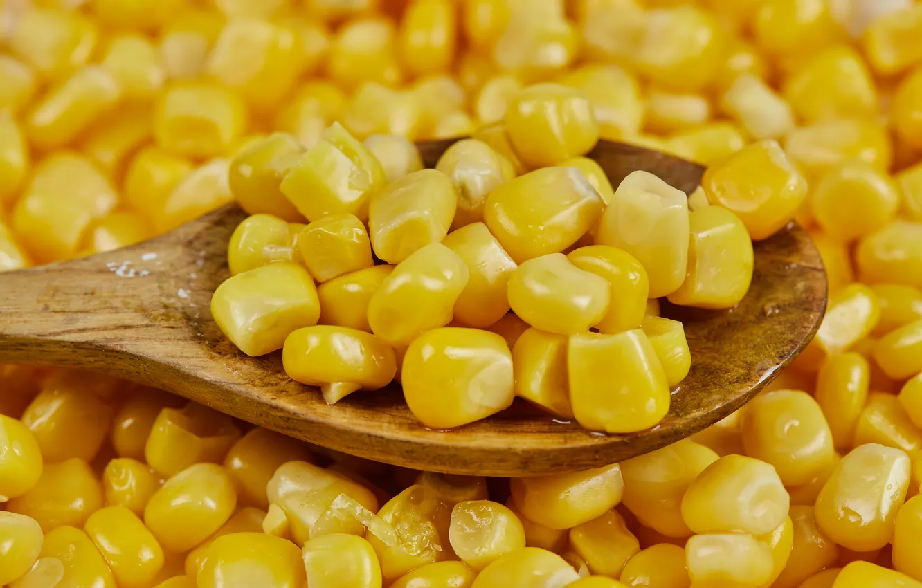 Photo wallpaper macro, corn, spoon, corn grains