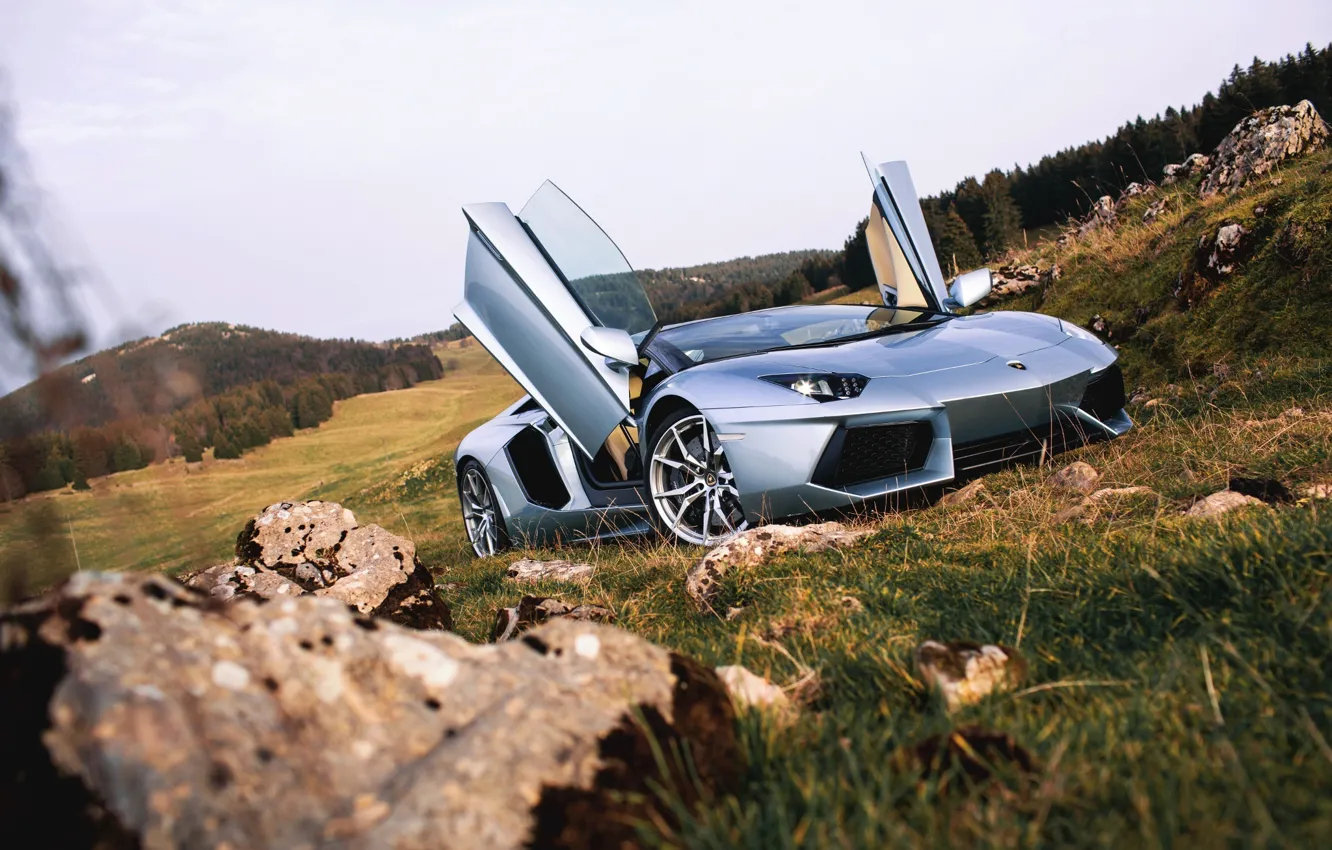 Photo wallpaper Roadster, Lamborghini, Nature, Front, LP700-4, Aventador, Supercars, Silver