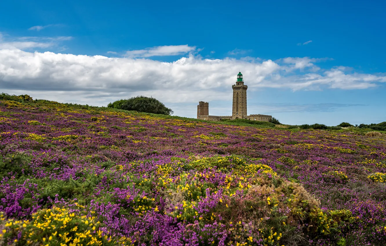 Photo wallpaper field, the sky, clouds, flowers, blue, shore, lighthouse, slope
