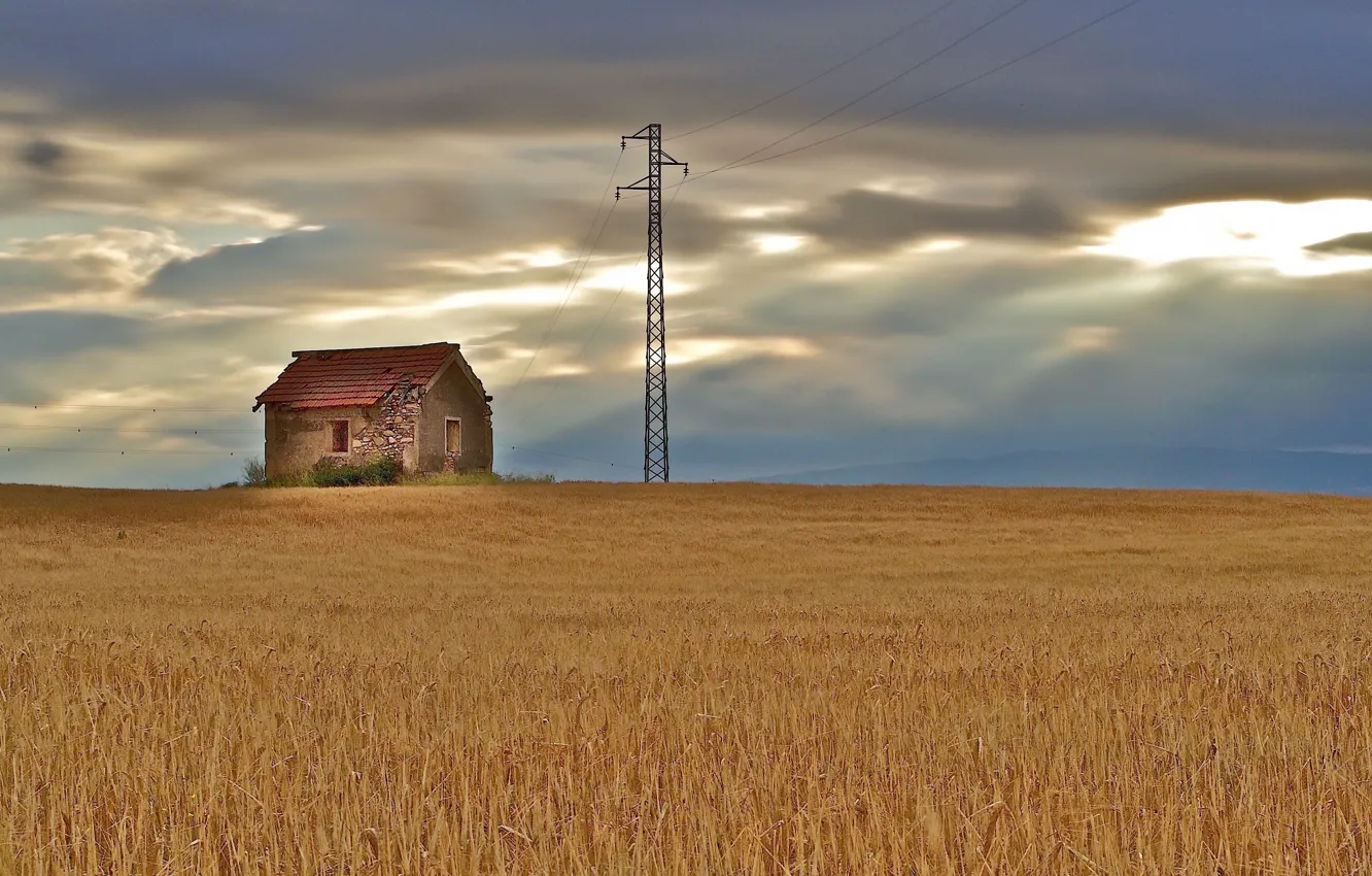 Photo wallpaper field, house, power lines